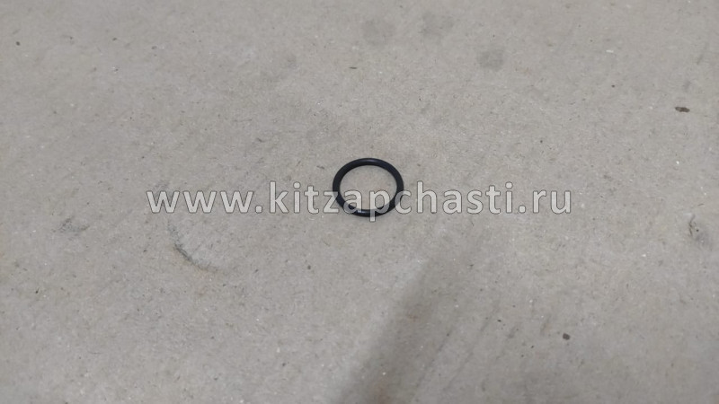 Кольцо уплотнительное HAVAL H2 1002103-EG01