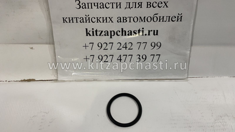 Кольцо уплотнительное масляного радиатора  HAVAL H3 1013102-EG01T
