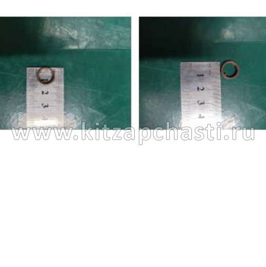 Кольцо масляного насоса Belgee S50 1050009800