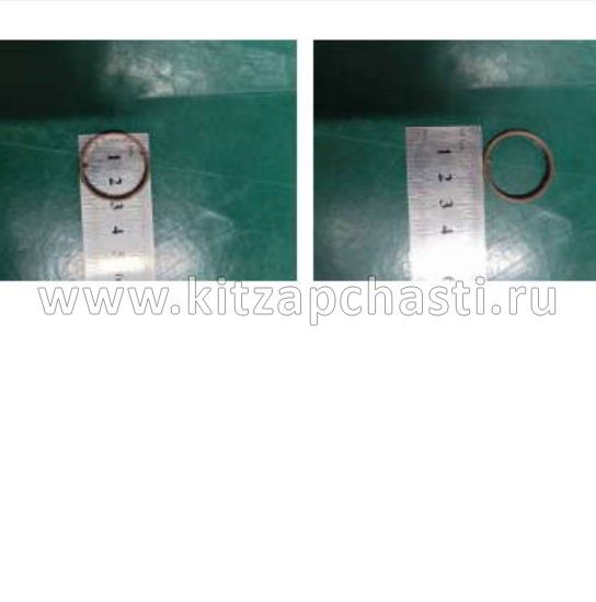 Кольцо масляного насоса Belgee S50 1050009900