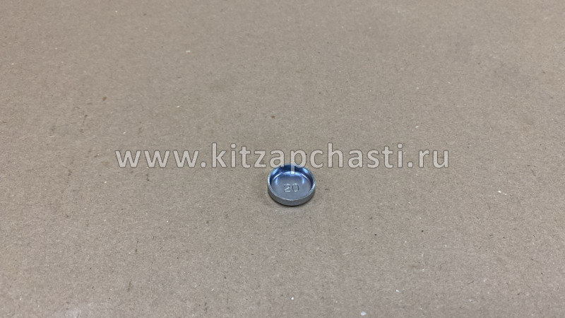 Заглушка головки блока (22 мм.) большая NEXT,Бизнес Cummins ISF 2.8 3920706