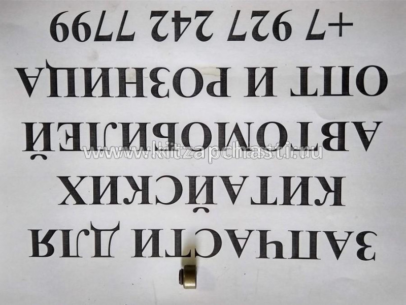 Стопор клапана двс SOUEAST S09 481H1007018