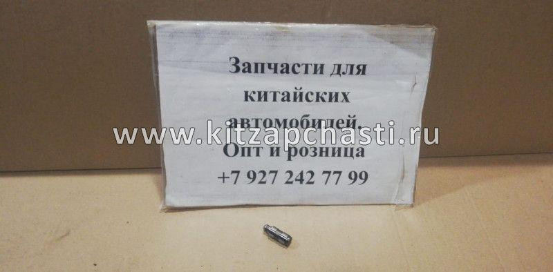 Гидрокомпенсатор SOUEAST S09 481H1007040AB
