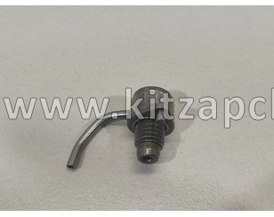Форсунка масляная Changan Hunter Plus D20T0141900