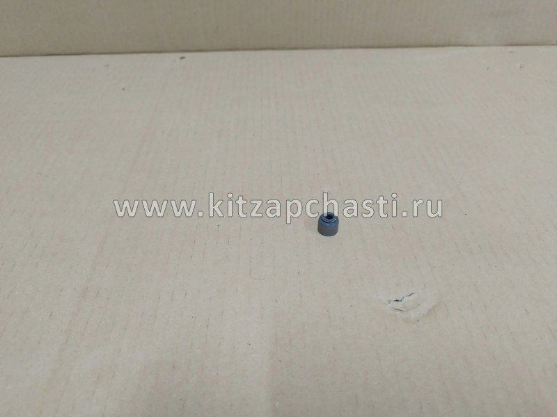 Колпачок маслосъёмный SOUEAST S09 F4J161007071