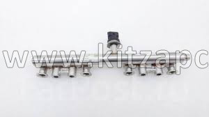 Топливная рампа в сборе SOUEAST S09 F4J161121010AB