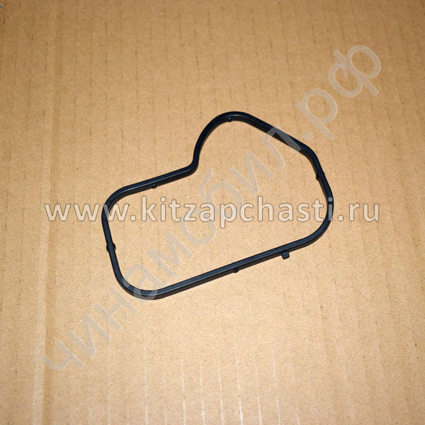 Прокладка помпы EXEED TXL FL F4J161307114